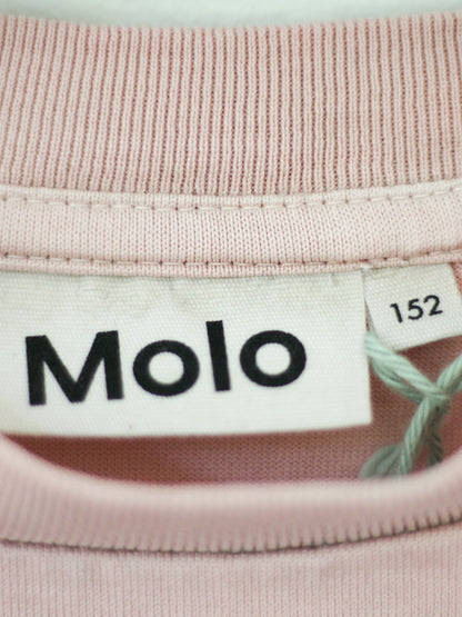 Molo, T-shirt