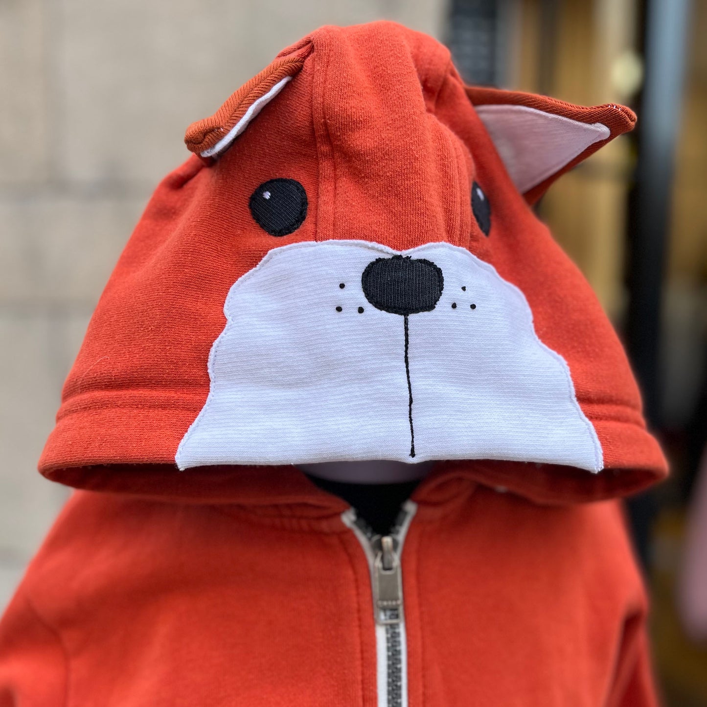 Fox hoodie