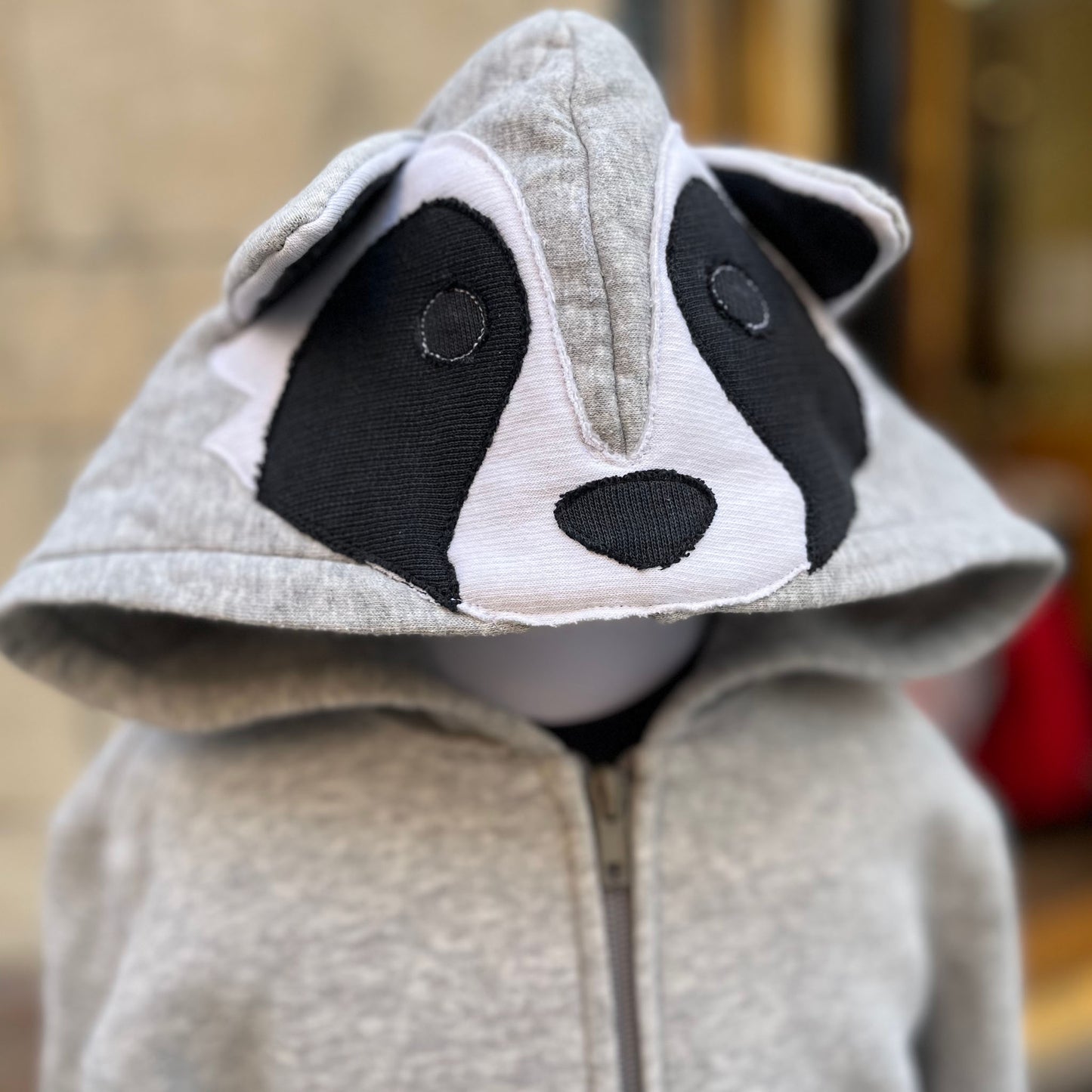 Racoon hoodie